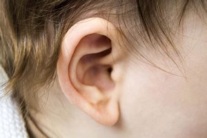 The Three Primary Types of Ear Reconstructive Surgery